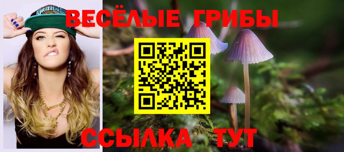 Лобня  Галлюциногенные грибы Cubensis  Вход с VPN  Псилоцибиновые грибы Psilocybine cubensis 