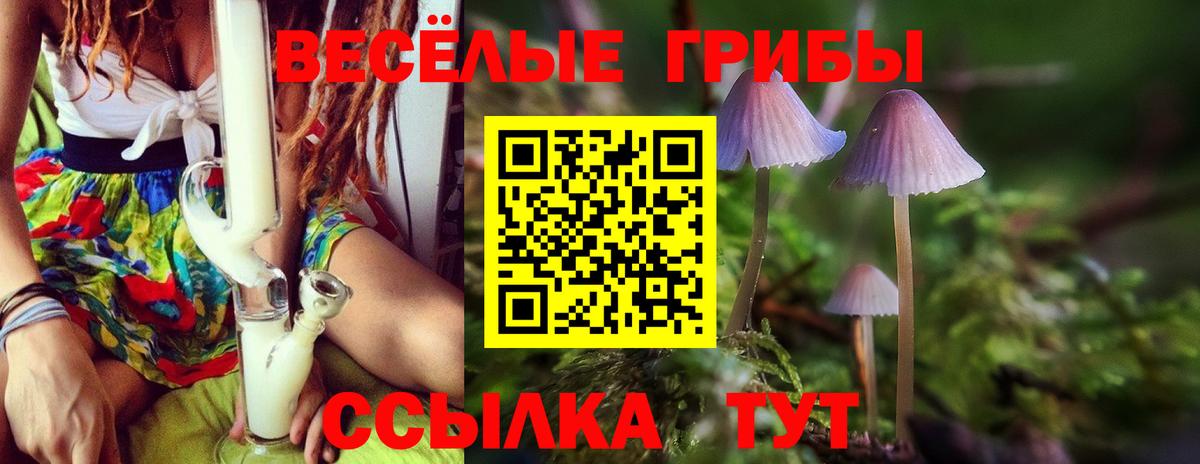 Галлюциногенные грибы ЛСД Лобня